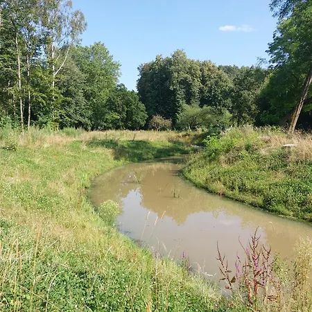 Lake Harelbeke